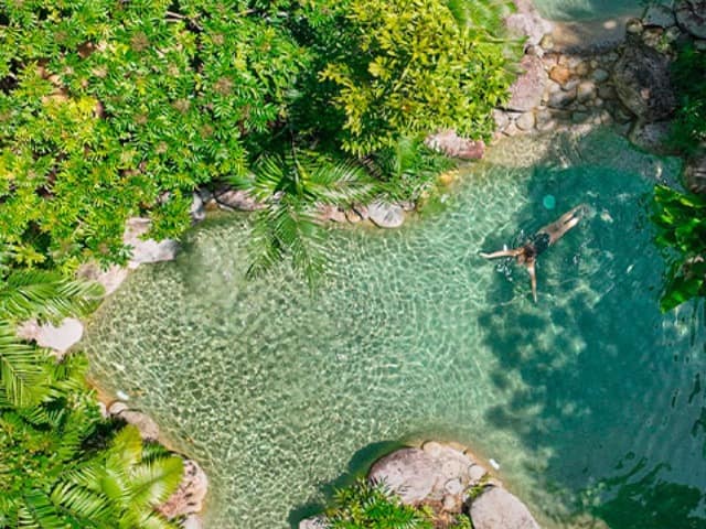 Silky oaks lodge australia the daintree swimming pool
